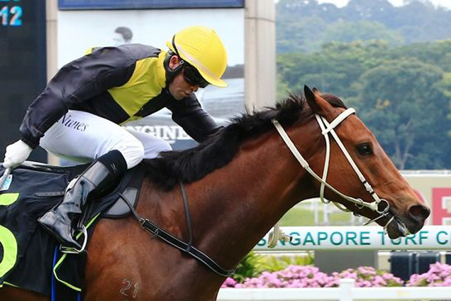 Darci's Boy winning the OPEN MAIDEN Darci's Boy winning the OPEN MAIDEN