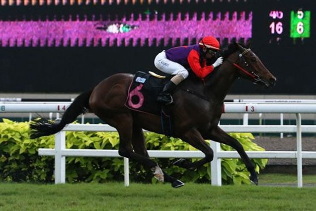 Darshini winning the GINGERBREAD MAN 2011 STAKES KRANJI STAKES C