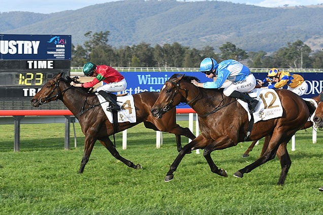 Daysee Doom winning the Emirates Pk Dark Jewel Classic