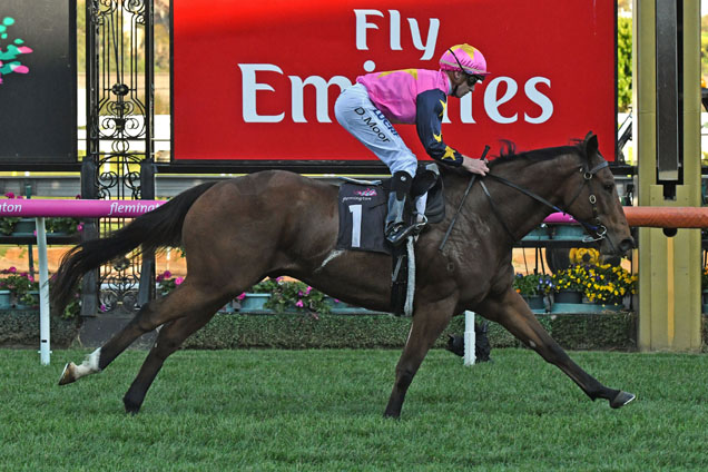 De Little Engine winning the Andrew Ramsden Stakes