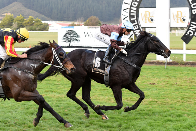 Dolcetto winning the The Hanley Formula Sprint-Bm85