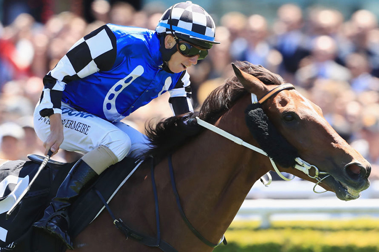 DOUKHAN winning the McGrath Estate Agents Race at Royal Randwick in Australia.