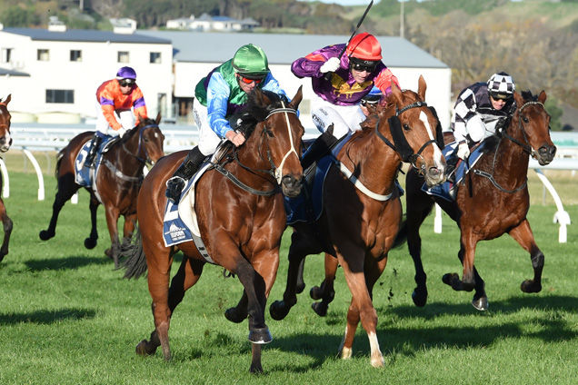 Duffers Creek winning the Challenge Stakes