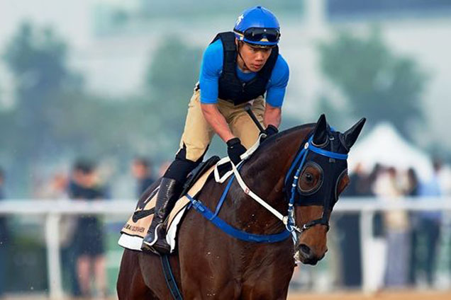 Dundonnell is put through his paces at Meydan on Wednesday