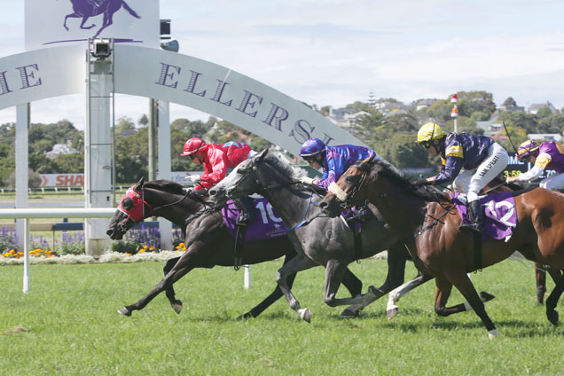 El Soldado winning the Avondale Cup