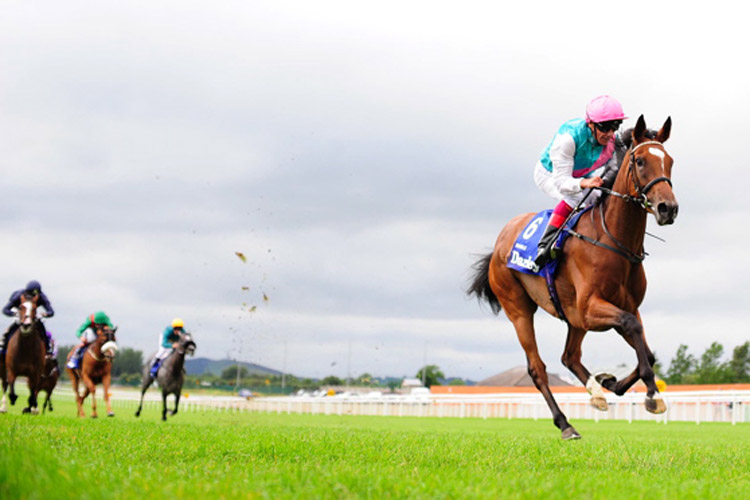 Enable Enable