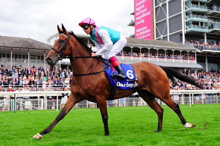 Enable winning the Darley Yorkshire Oaks (Fillies Group 1)