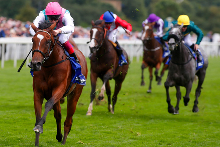 Enable Enable