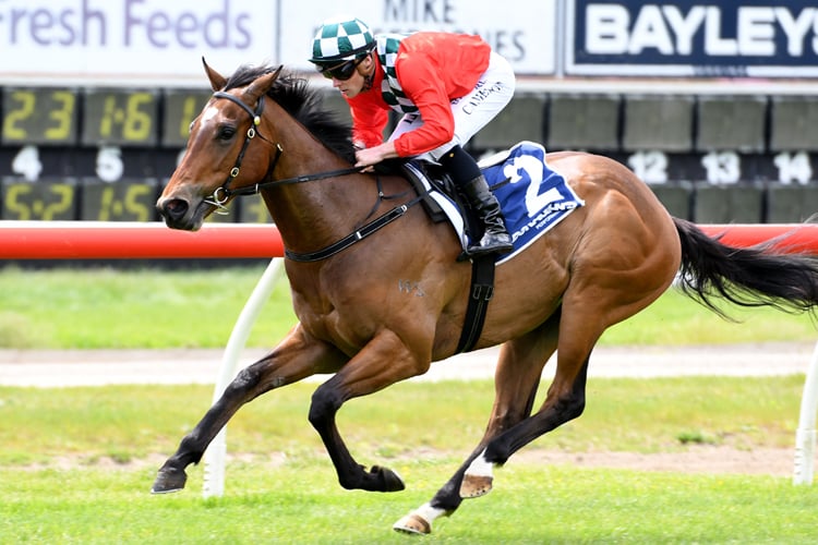 Espumoso winning the Nzb Ins. Pearl Series Race 2yo