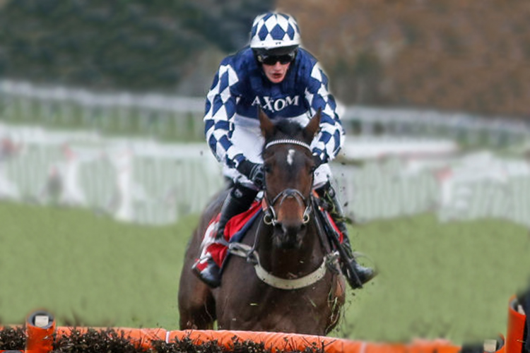 FIDUX running in the Jumeirah Hotels And resorts December Handicap Hurdle Race at Sandown Park in United Kingdom.