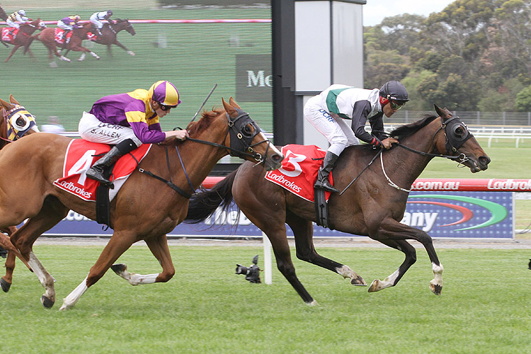 Fanatic winning the Ladbrokes Sandown Cup