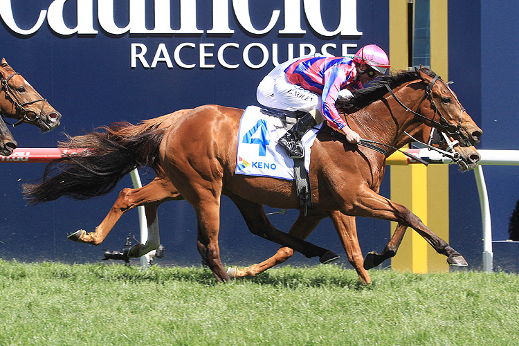 Fast 'n' Rocking winning the Keno Weekend Hussler Stakes