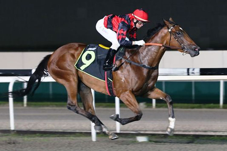 Filibuster winning the RESTRICTED MAIDEN