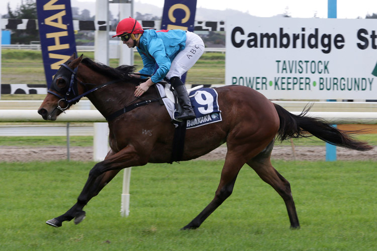 Florence Jean winning the Tavistock Owners Syndicate 2yo