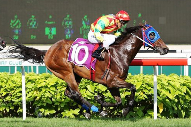 Group 1 Singapore Guineas winner Forever Young