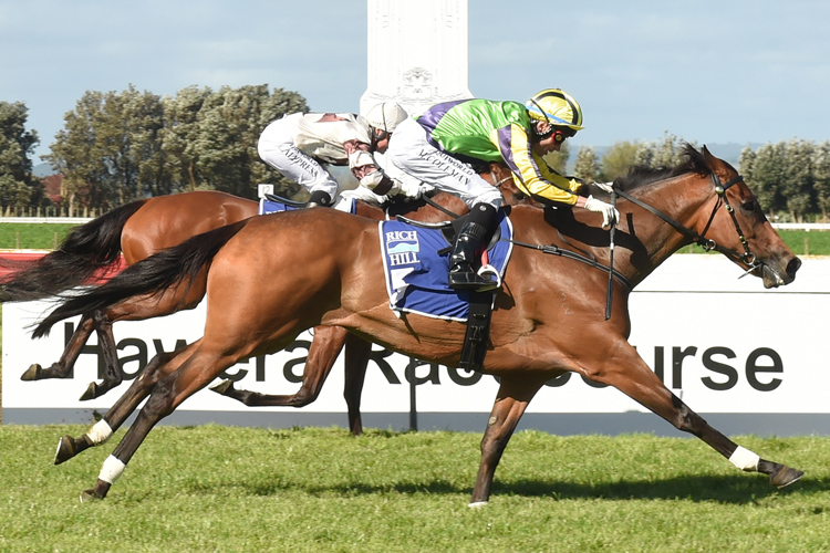 Francaletta winning the Taranaki Breeders Stakes