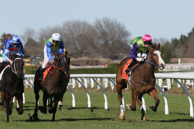 Getty(far right) winning the Nzb Insurance Pearl Series 2yo