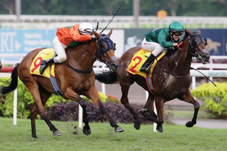 Gilt Complex winning the DESTER SINGAPORE GOLD CUP