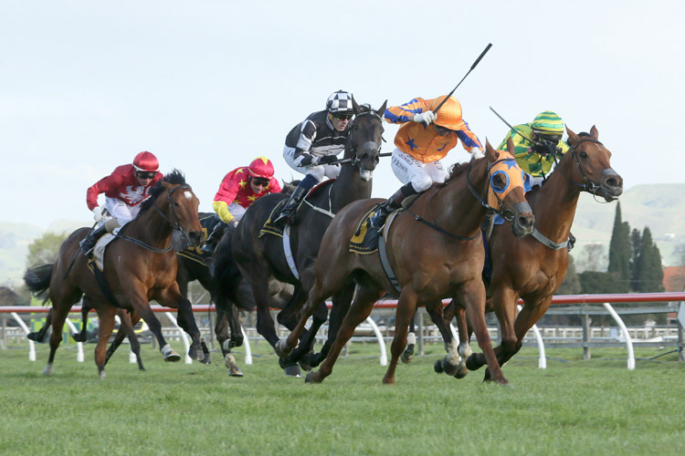 Gingernuts winning the Windsor Park Horlicks Plate