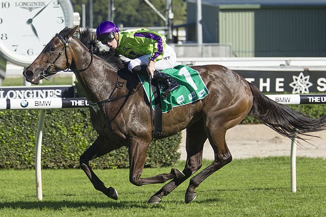 Global Glamour winning the Tab Light Fingers Stakes