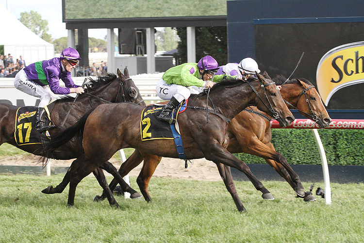 Global Glamour winning the Tristarc Stakes