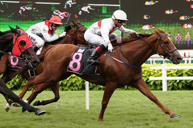 Golden Curl winning the KRANJI STAKES A