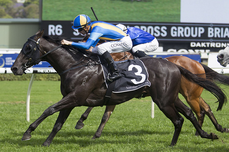 Goodfella winning the Brian Crowley Goodfella winning the Brian Crowley