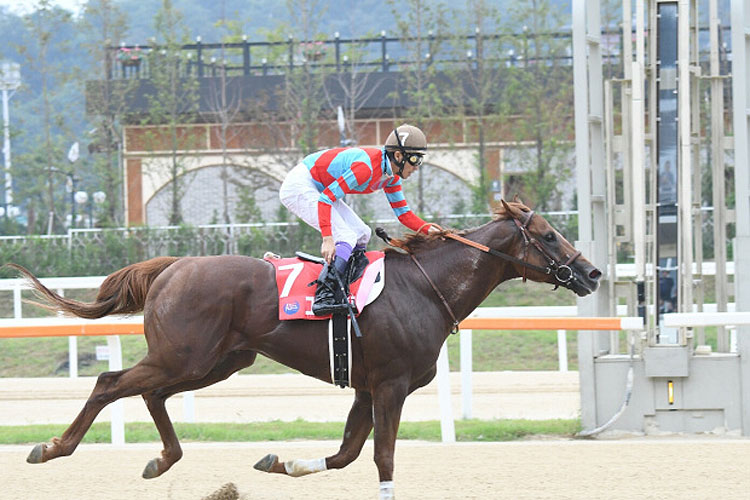 Graceful Leap winning the The 2nd Korea Sprint Graceful Leap winning the The 2nd Korea Sprint