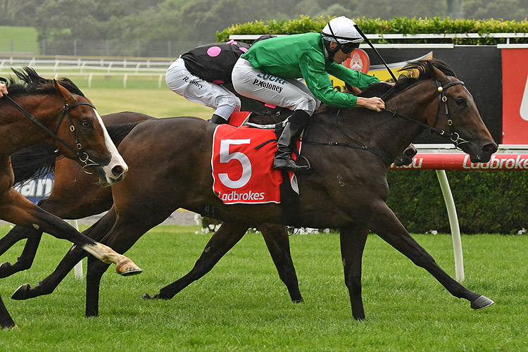 Graceful Storm winning the Ladbrokes Plate Graceful Storm winning the Ladbrokes Plate