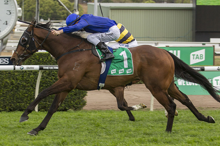 Happy Clapper winning the Tab Epsom Hcp Racing and Sports Happy Clapper winning the Tab Epsom Hcp Racing and Sports