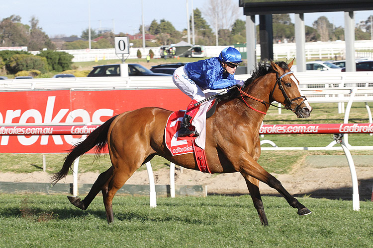 Hartnell winning the P.B. Lawrence Stakes