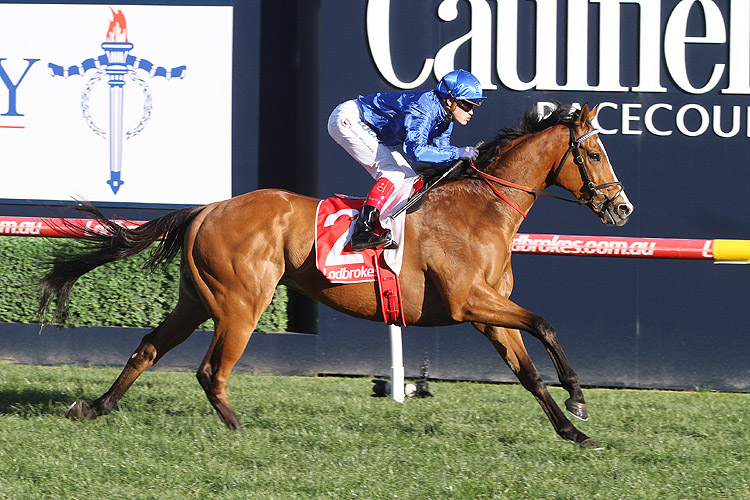 Hartnell winning the P.B. Lawrence Stakes