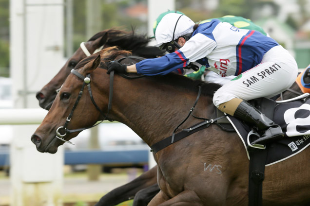 Hasahalo winning the Eclipse Stakes