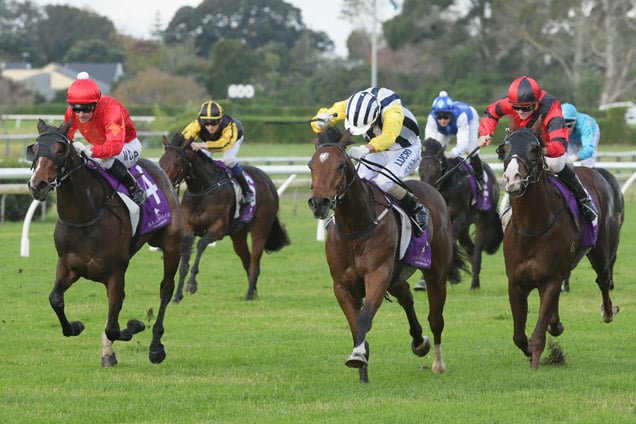 Haussmann Haussmann (yellow sleeves) downs So Far Sokool (red jacket) winning the Great Northern Foal Stakes