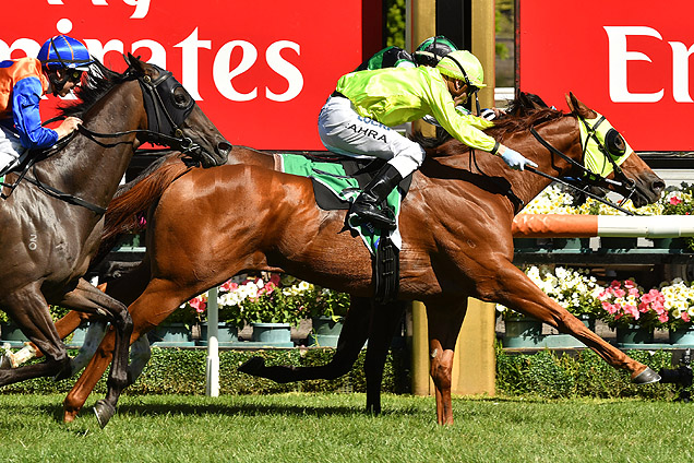 He Or She is a good chance in the Golden Mile