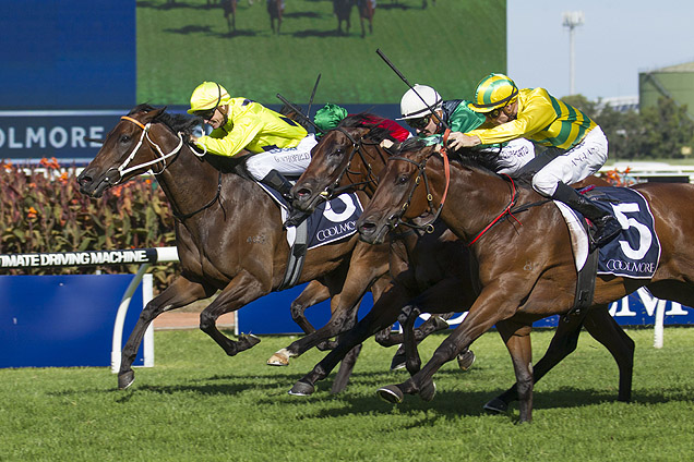 Concluding Stages of Coolmore Classic