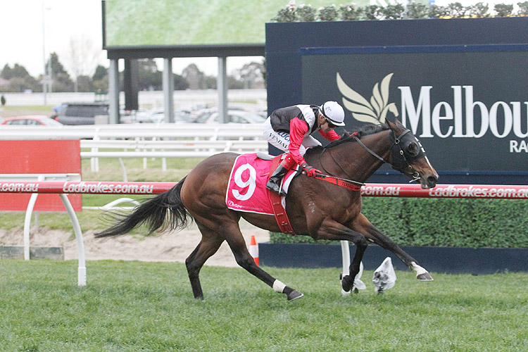 Hell Or Highwater winning the Dream T'breds Heatherlie Stks