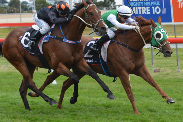 Hellova Street and Brenton Avdulla win the Thomas Lyon Stakes