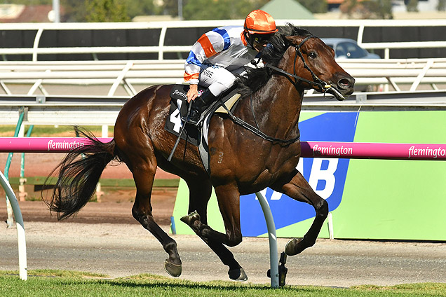 Hey Doc winning the Australian Guineas Hey Doc winning the Australian Guineas
