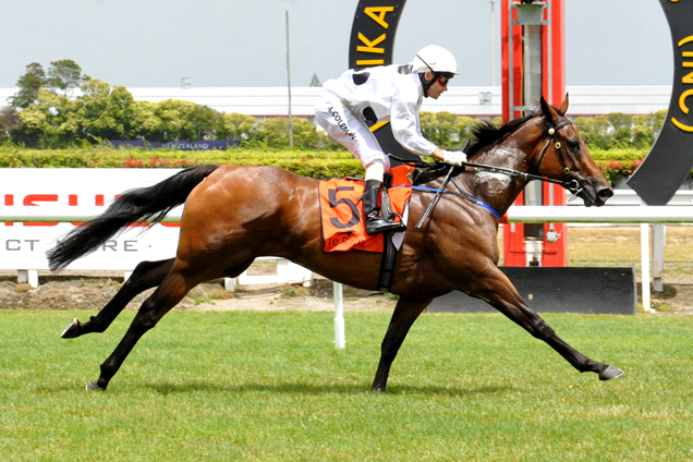 Honey Rider winning the Speedwall Nz Ltd (Bm75)