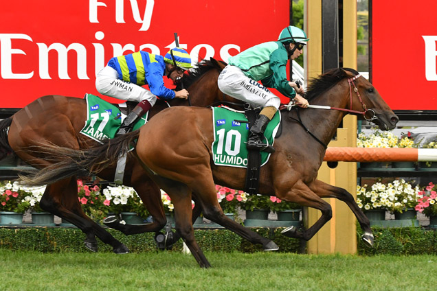 Humidor is as good as anything in the Caulfield Cup