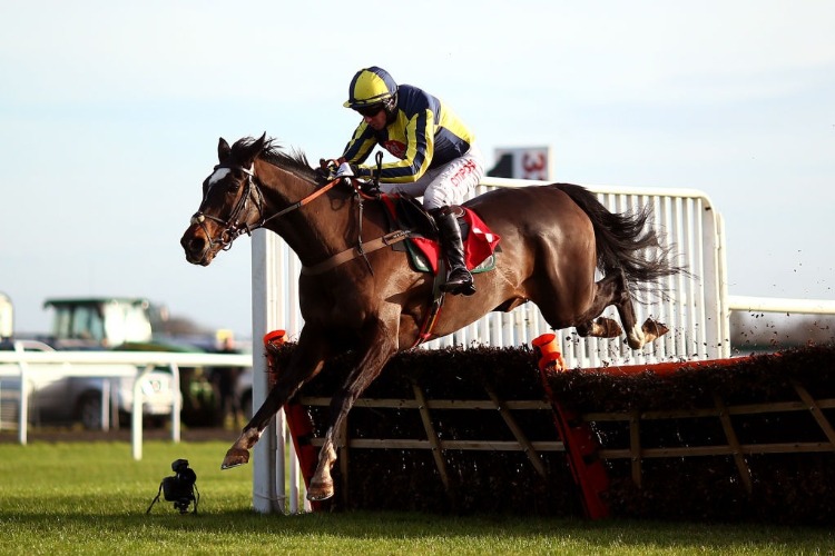 IF THE CAP FITS winning the 32Red Casino Novices' Hurdle Race at Kempton Park in United Kingdom.