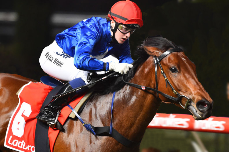 INVINCIBLE AL winning the Ladbrokes 55 Second Challenge race at Moonee Valley INVINCIBLE AL winning the Ladbrokes 55 Second Challenge race at Moonee Valley