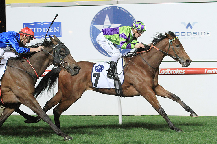 I Am A Star winning the Zoustar Stocks Stakes