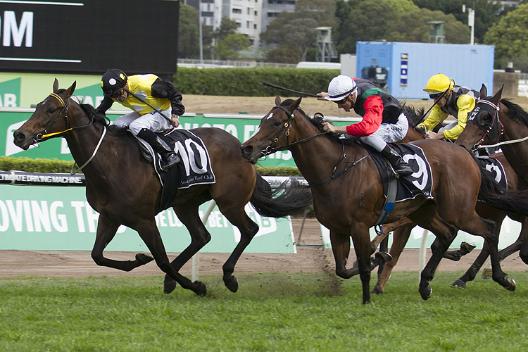 In Her Time winning the Premiere Stakes In Her Time winning the Premiere Stakes