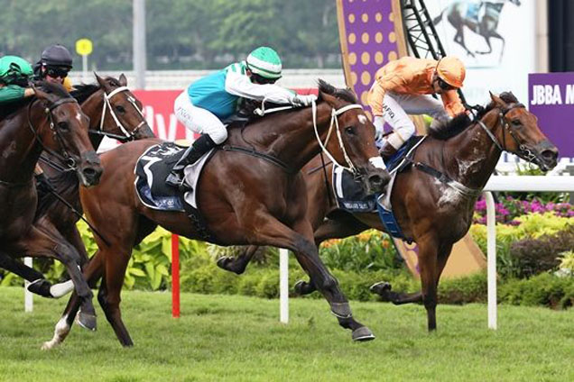 Infantry winning the JBBA MOONBEAM VASE