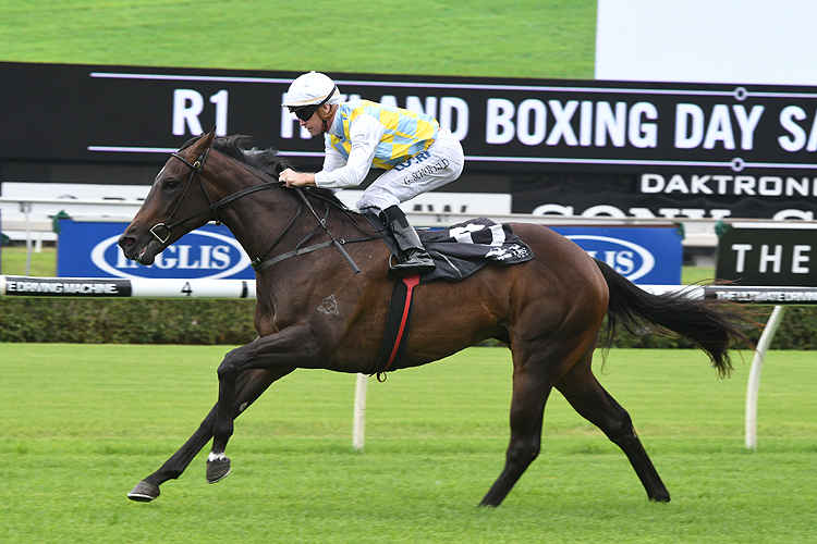Into The Abyss winning the Hyland Boxing Day Sale Mdn Hcp