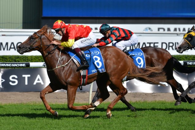 Invader winning the 2017 Sire's Produce Stakes