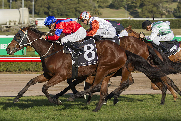 Invincible Gem winning the 2017 Missile Stakes