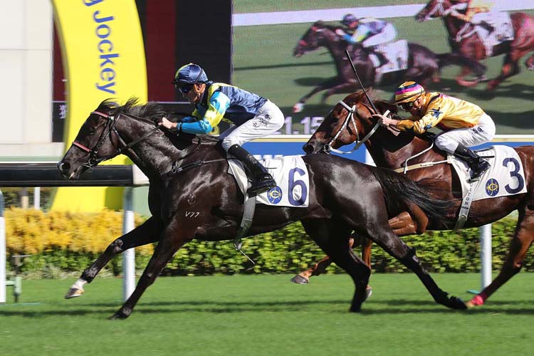 Jolly Banner is a top-rater at Sha Tin on Sunday.
